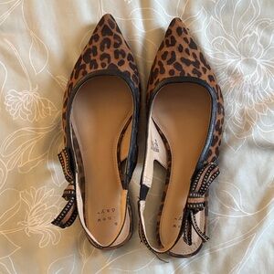 A New Day Cheetah Flats